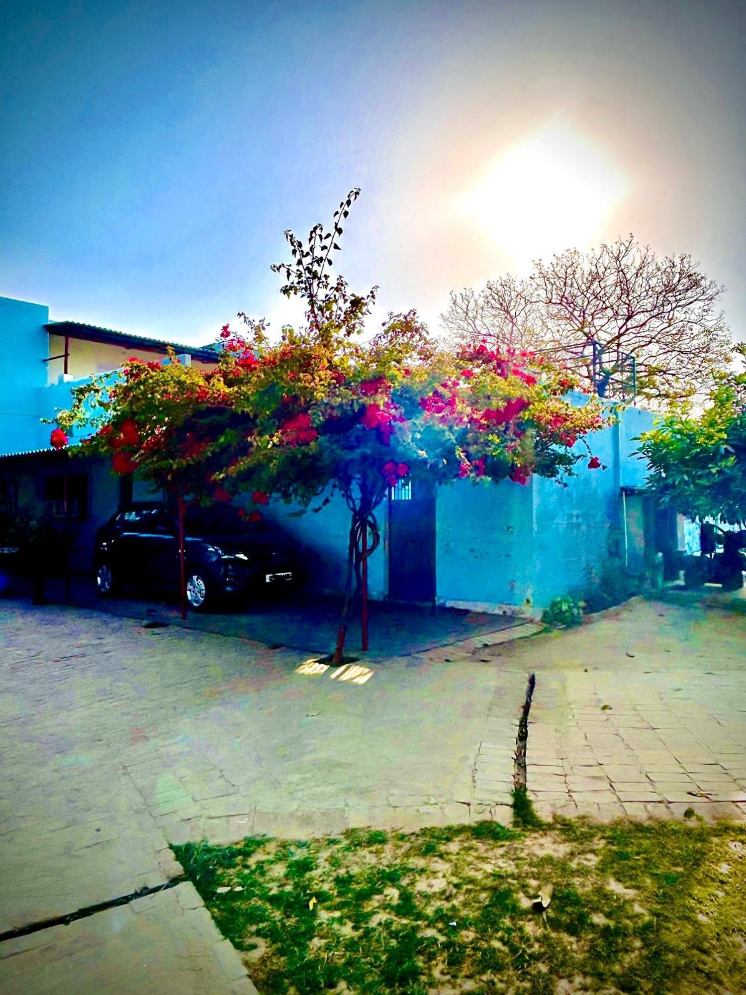 הוילה Ayodhya Gooseberry Garden מראה חיצוני תמונה